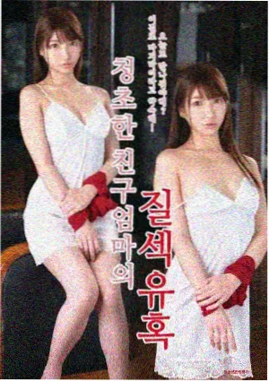 长风渡口剧集封面